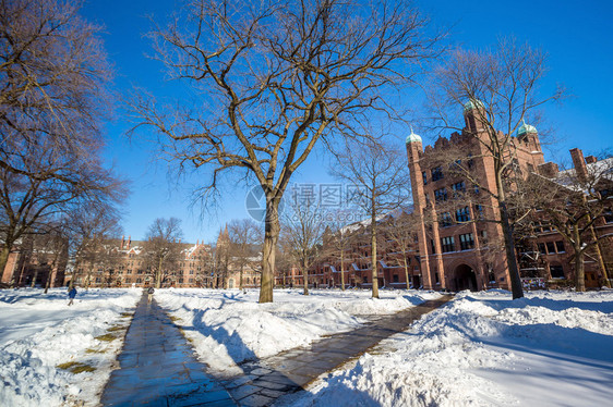 在美国首都新黑文的耶鲁大学楼下雪后冬季的图片