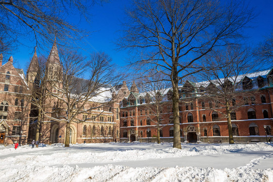 在美国首都新黑文的耶鲁大学楼下雪后冬季的图片