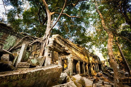 Angkor考古公园古老佛教塔普罗姆寺庙的建筑柬埔寨纪念碑暹粒背景图片