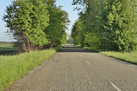 这条路距基辅约30公里距离基图片