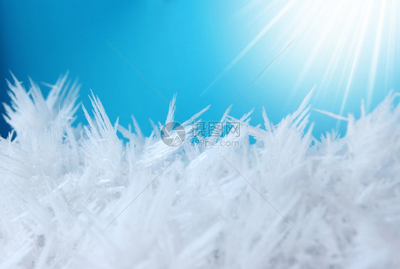 阳光下霜雪的宏观质感图片