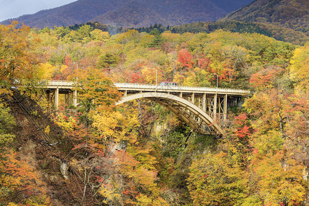 东北虎林园日本NarukoGorge的秋光颜色背景