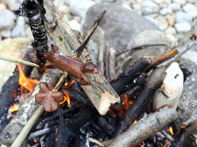 野餐时在篝火中烹制的香肠串图片