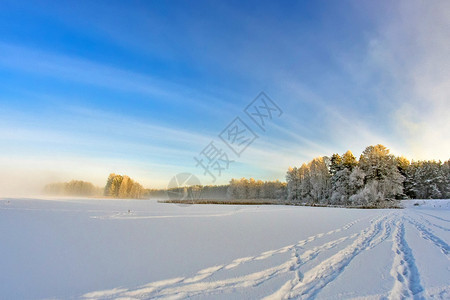 在湖的冬天风景图片