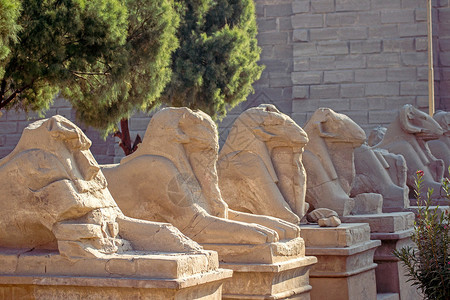 卡纳克神庙狮身人面像胡同图片