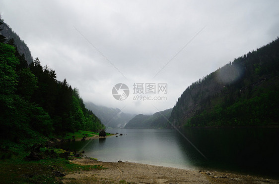美丽的湖与雾中的森林图片