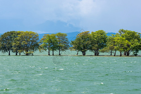 斯里兰卡的湖景图片