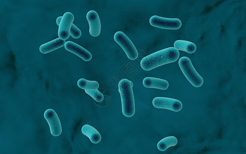 彩色下的细菌图片