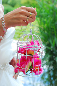 握着旧式白色金属笼子的新娘手用玫瑰图片