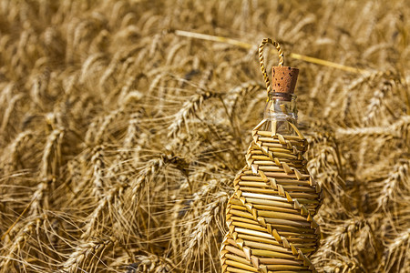 小麦编织传统上是在收割时通过以复杂模式交织的图片