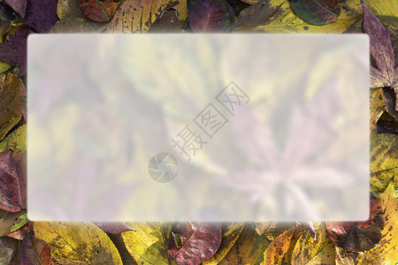 彩色秋叶边框与透明文本中心照片于2014图片