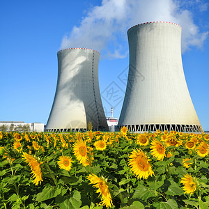 核发电厂图片