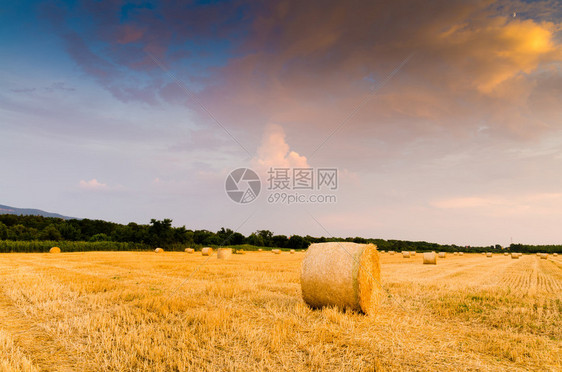 日落时场上的干草捆图片