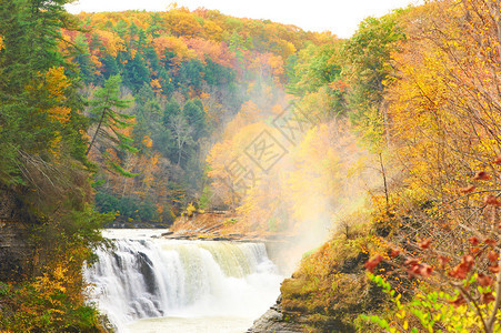 秋季风景观在莱奇沃斯州公园图片