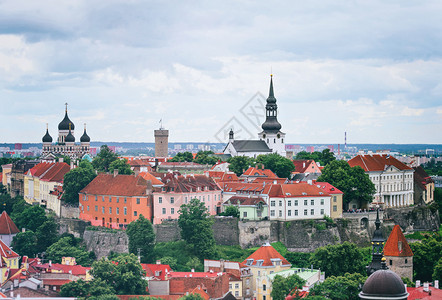 老塔林爱沙尼亚全景图片