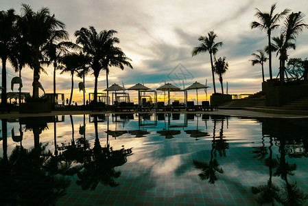 日出时在豪华酒店泳池度假胜地配有雨伞和椅子的棕榈树影背景
