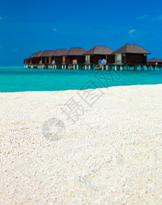 沙滩马尔代夫海图片