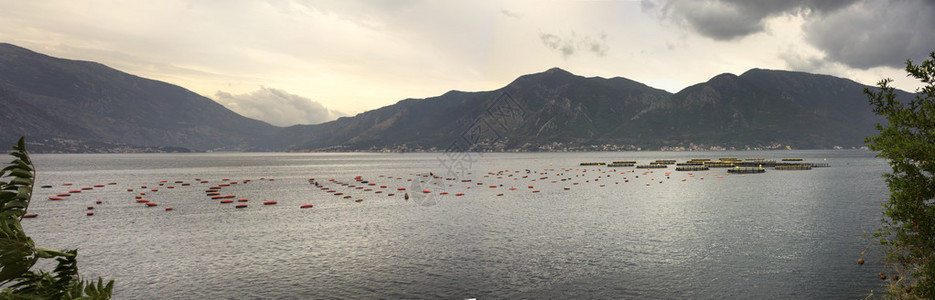 地中海沿岸养殖海壳农田的全景图片