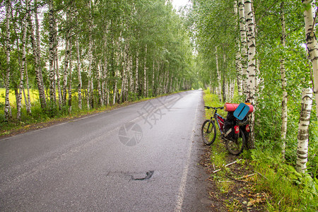 道路树木和骑图片