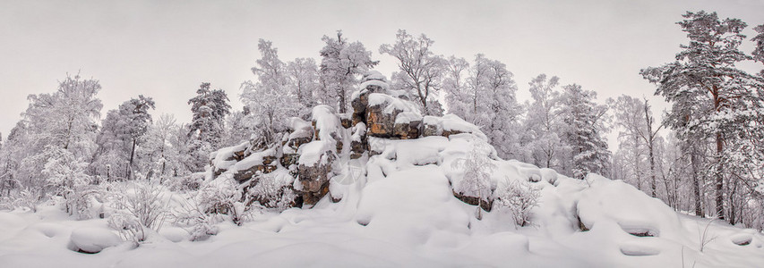 原始的雪原和落基山峰的风景图片