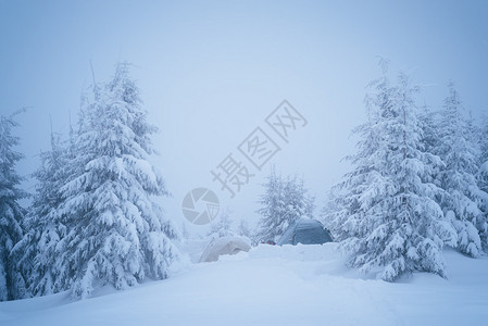 冬季树林的旅游帐篷图片