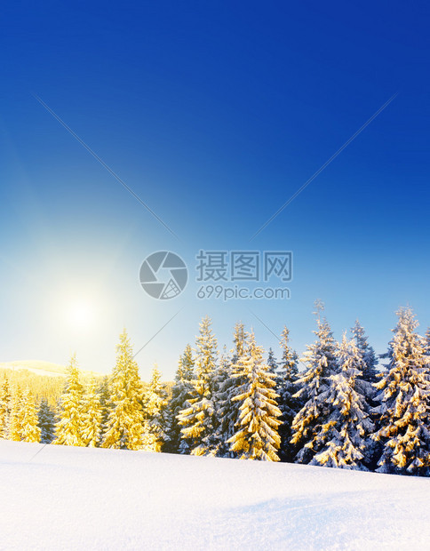 阳光照射下的梦幻般的冬季景观蓝天下的戏剧冬景喀尔巴阡图片