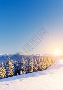 阳光照耀着奇妙的冬季风景蓝色天空下的龙卷风场景喀尔巴阡山图片