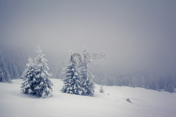 狂野的回旋场景喀尔巴阡山脉图片