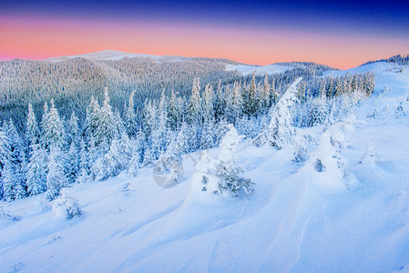 吉林雾凇神奇的冬天白雪覆盖的树背景