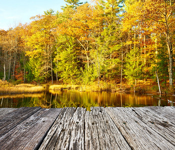 莱奇沃思州立公园的秋景图片