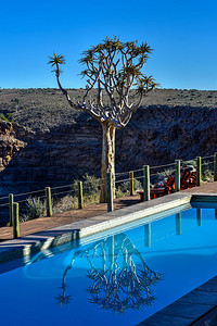 非洲纳米比亚的Quiver树和鱼河峡谷背景图片