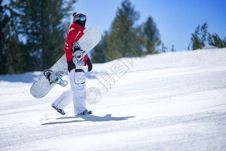 滑雪板手拿着滑雪板爬上斜坡图片