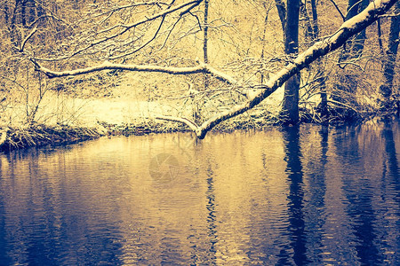 冬天在森林里的河流的老式照片美丽的冬季时间照片与图片