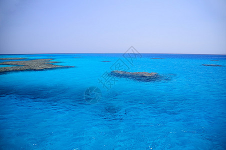 在埃及度假时清澈湛蓝的大海图片