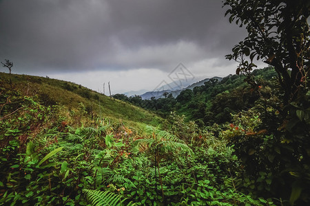 在山的夏天风景日出图片