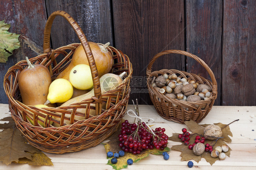 秋天的生活还有南瓜在篮子里秋月的白莓在老木图片