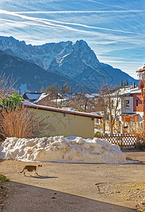 猫在德国GarmischPartenkirchen街上行走图片