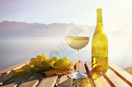 瑞士日内瓦湖畔的葡萄酒和葡萄图片