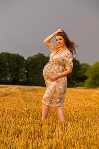 美丽的孕妇在麦田里散步女人等孩子真诚快乐的感觉maybitnoyi母亲社交杂志海报图片