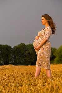 美丽的孕妇在麦田里散步女人等孩子真诚快乐的感觉maybitnoyi母亲社交杂志海报图片
