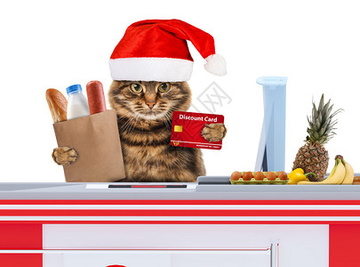 在超市当收银员的圣诞帽猫拿着扫描仪图片