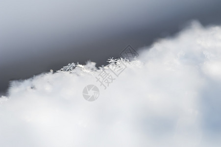 雪花的宏图象冬季背景图片