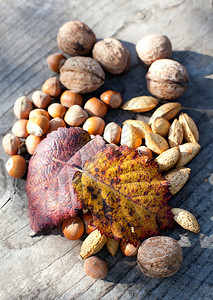 秋季坚果和叶的杂类图片