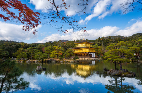 京都枫叶金阁寺图片