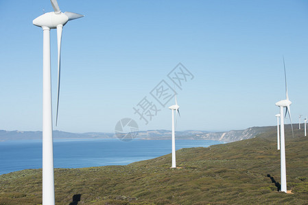 西澳大利亚州南大洋海岸的风力农场图片
