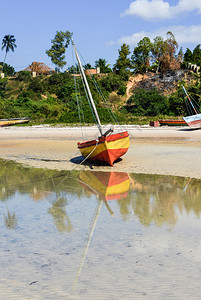 低潮时期莫桑比克Vilanculos海滩的全景图片