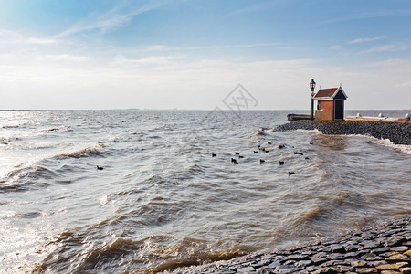 风暴大海和Zaandam附近海图片