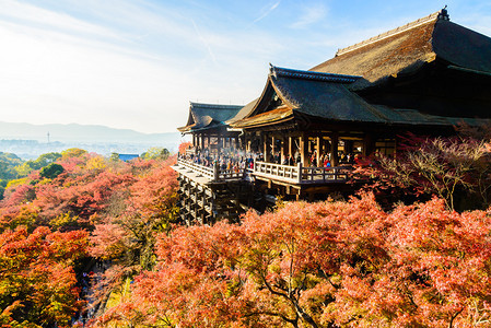 日本京都秋季的清水寺背景图片
