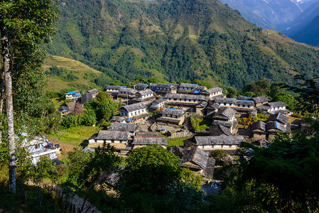 尼泊尔Annapurna地区Gha图片
