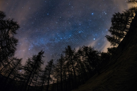 星空和银河在冬季的极佳景象来自黑锥形林地图片